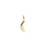 14K SOLID GOLD - DREAM LUNA NAMESAKE CHARM