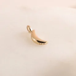 14K SOLID GOLD - DREAM LUNA NAMESAKE CHARM